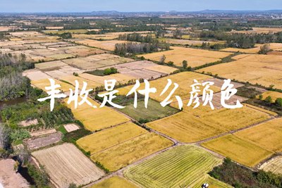 春種一粒粟，秋收萬顆子。多彩的豐收季，只愿五谷豐登，百事興旺3.240_400.jpg